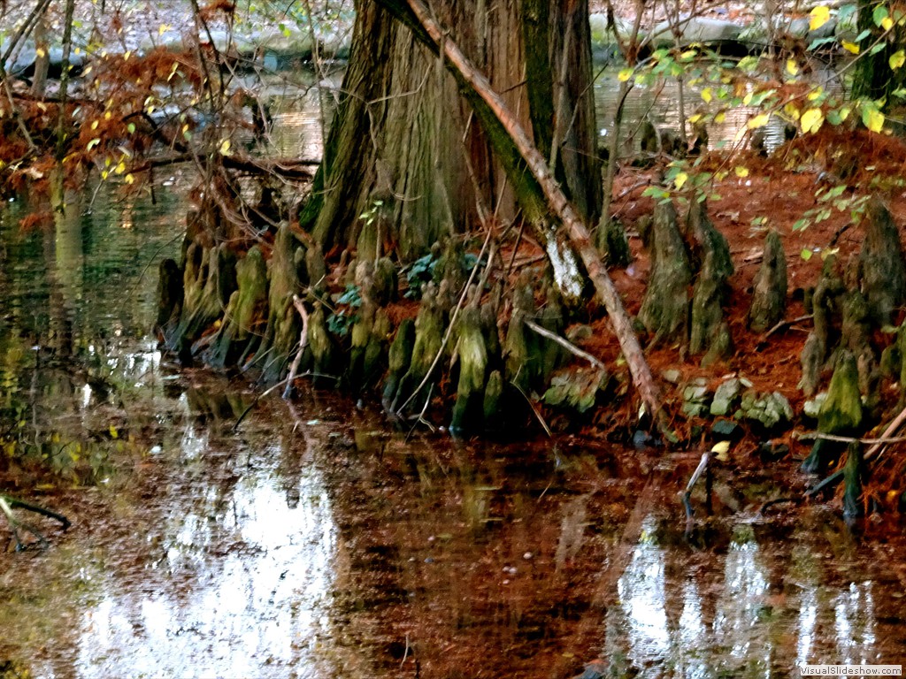 DSC01835