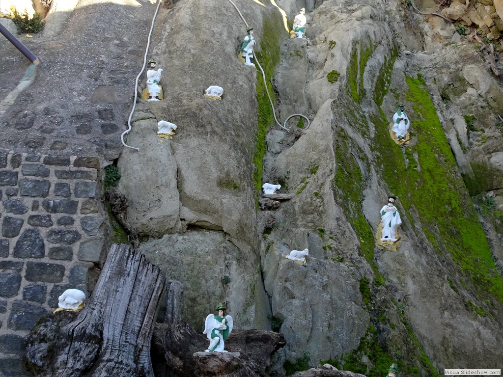 DSC01850