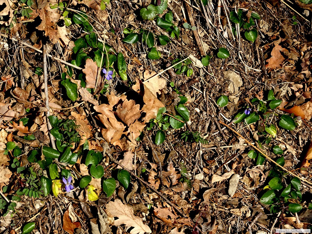DSC01874