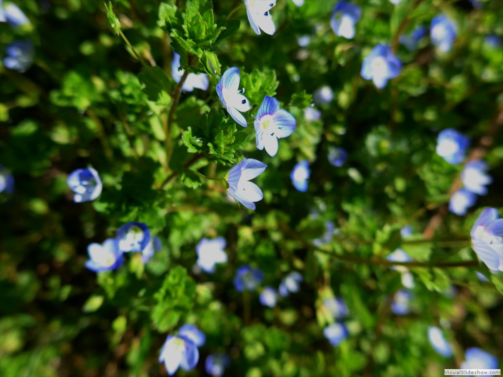 P1110576