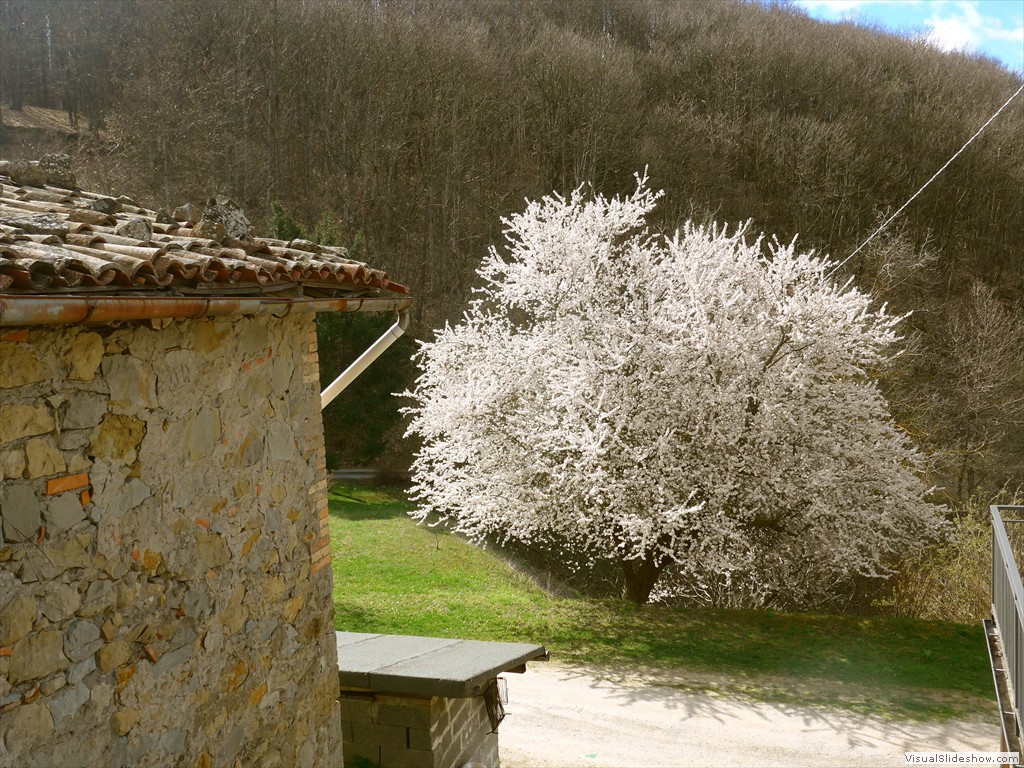 P1110578