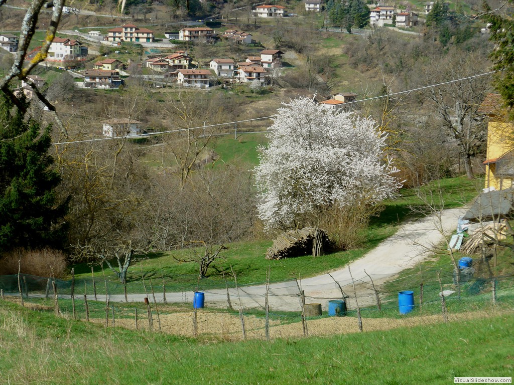 P1110580