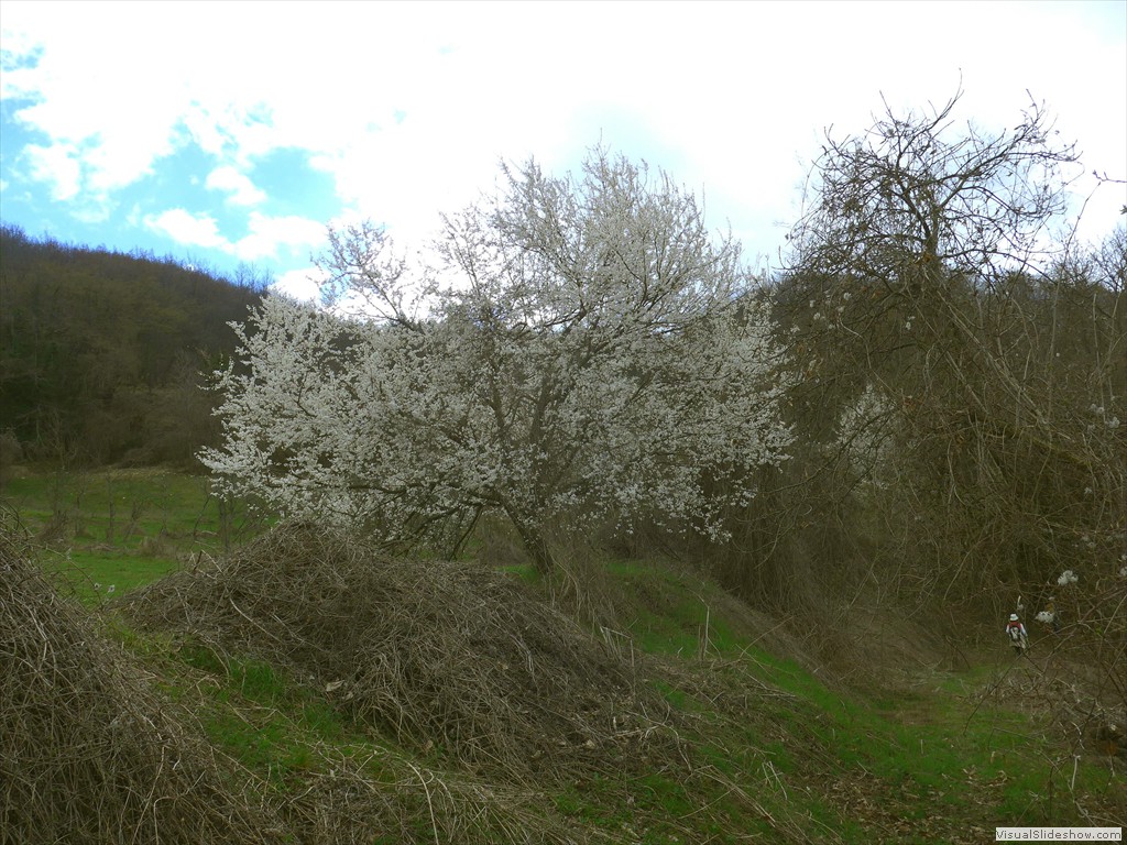 P1110588