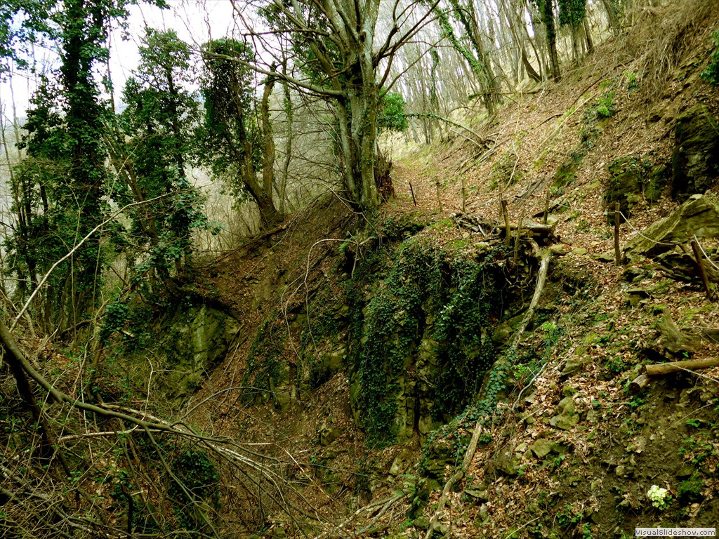 P1110592
