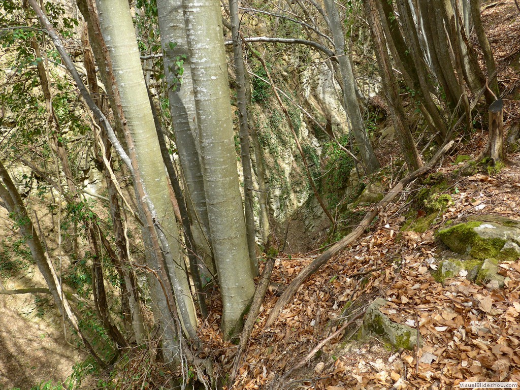 P1110611