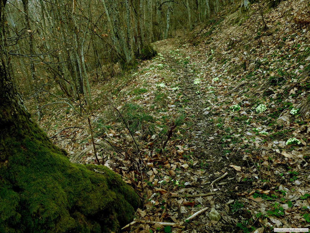 P1110648