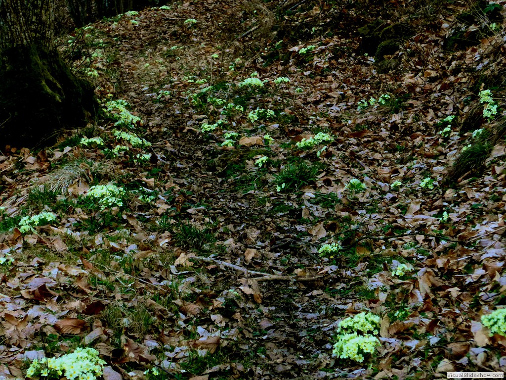 P1110649