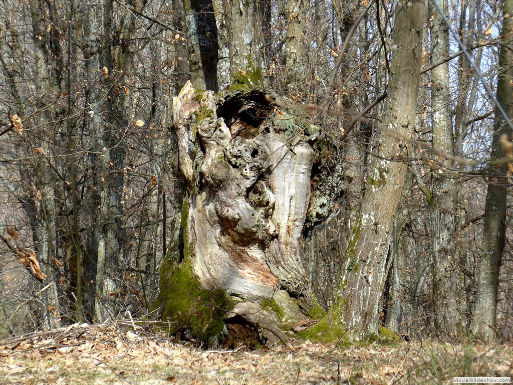 P1110660