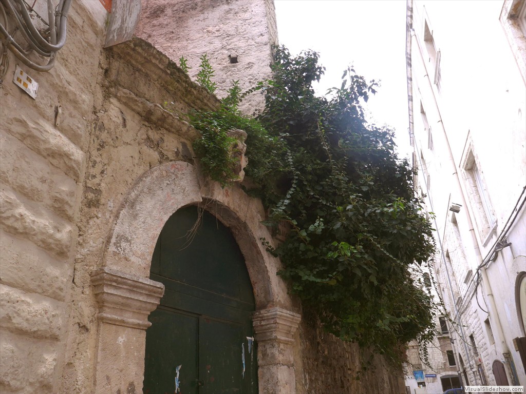 P1030898