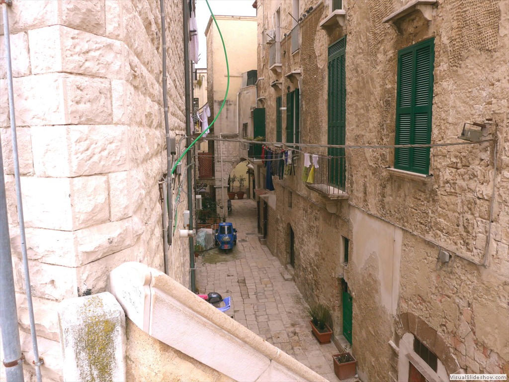 P1030919