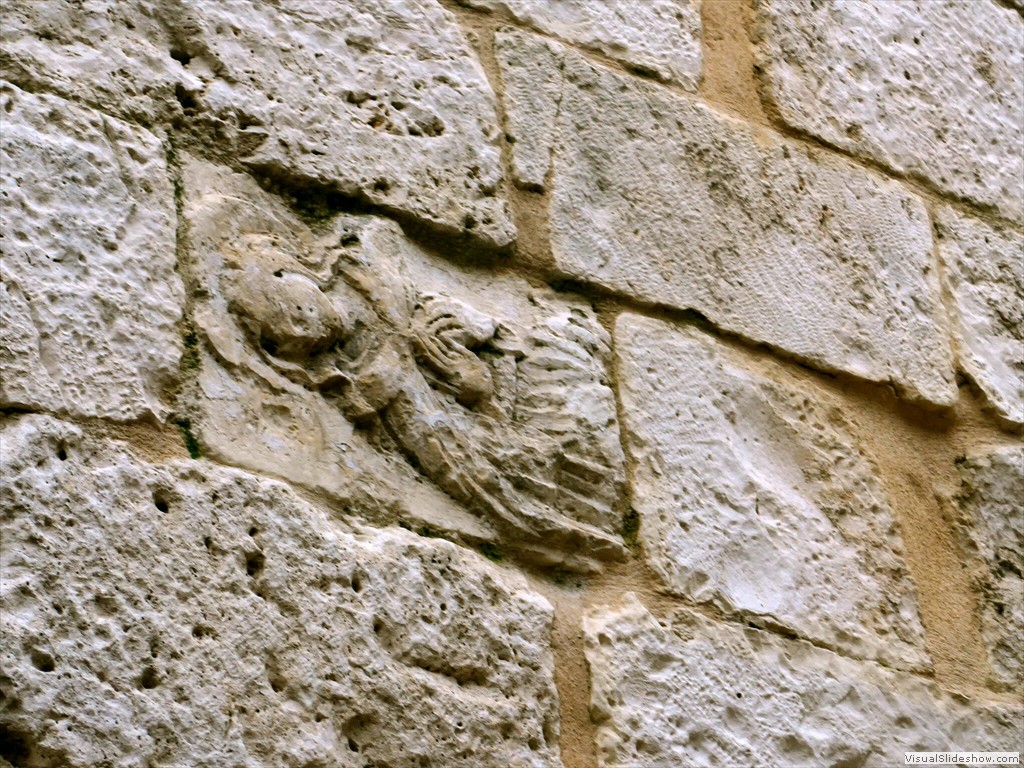 P1030924