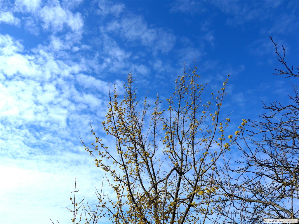 0013_2015-03-11