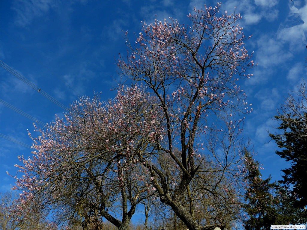 0014_2015-03-11