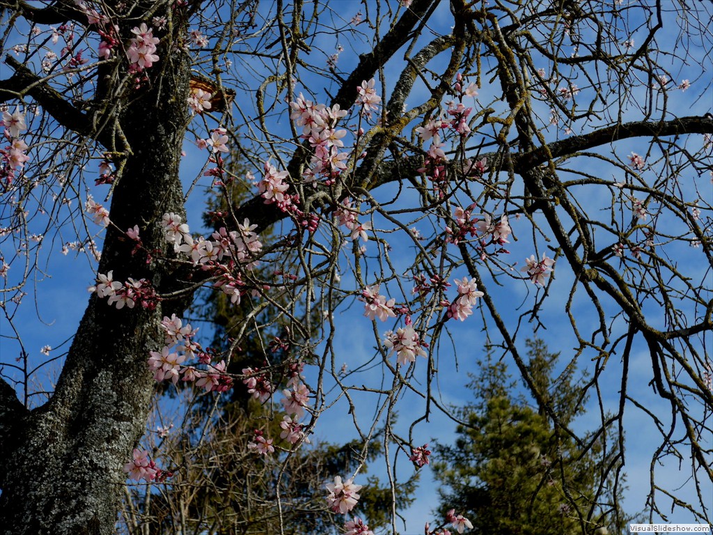 0016_2015-03-11