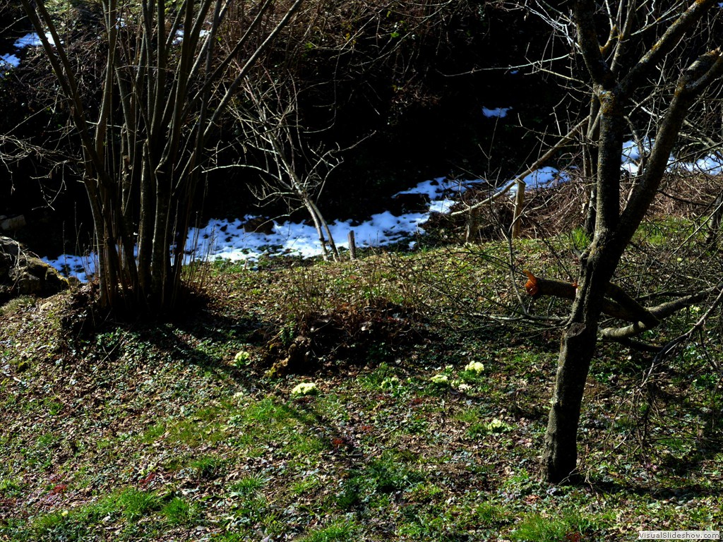 0017_2015-03-11