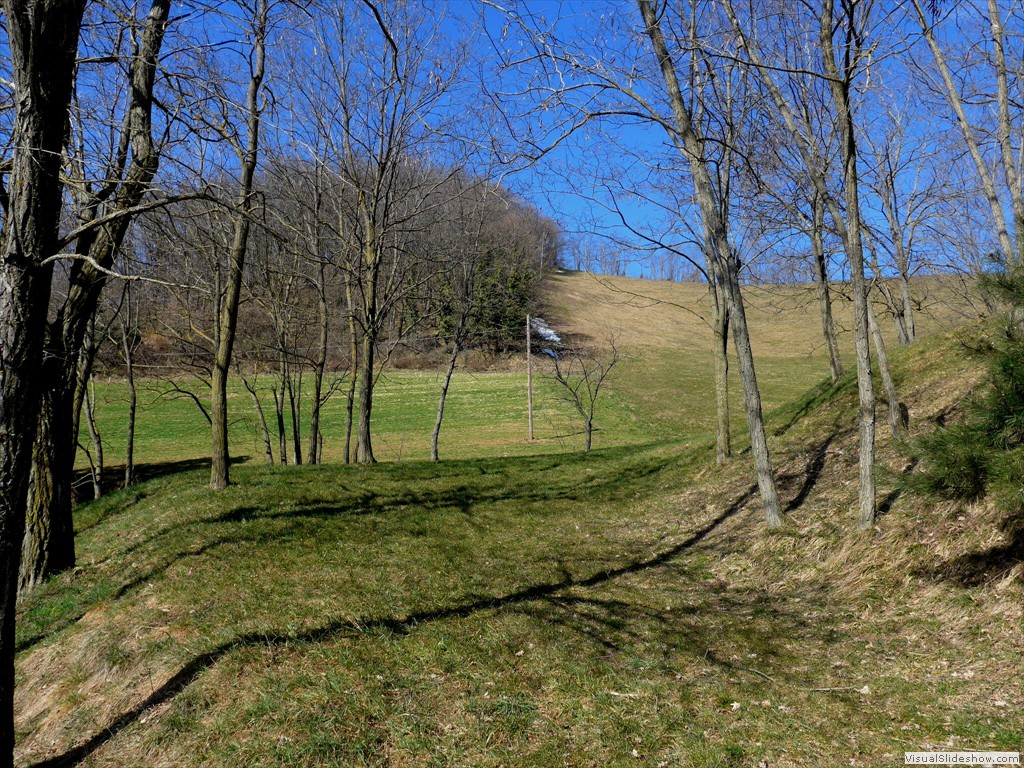 0024_2015-03-11