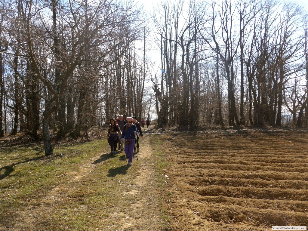 0025_2015-03-11