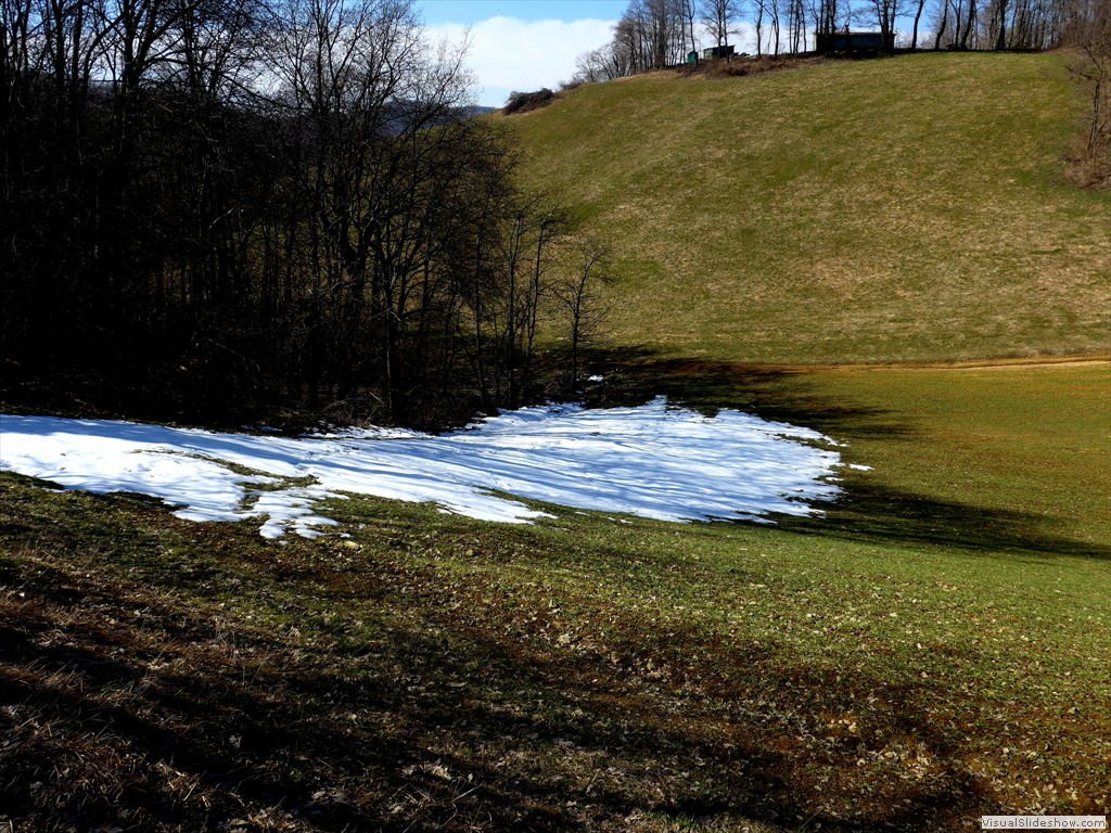 0030_2015-03-11
