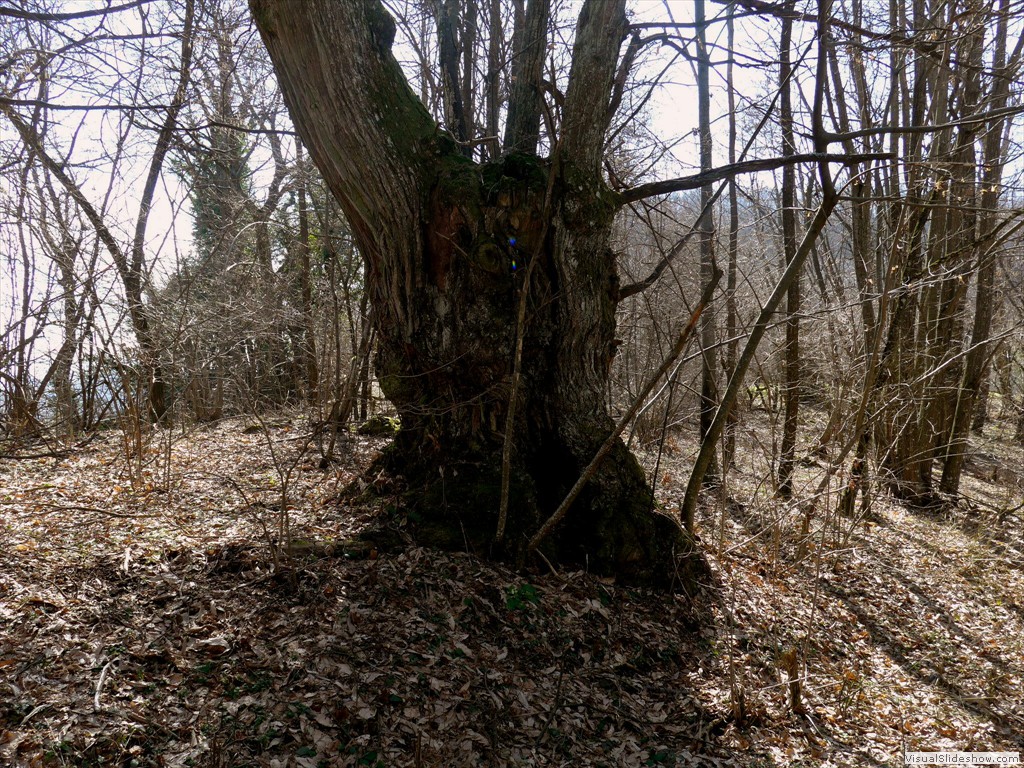 0032_2015-03-11