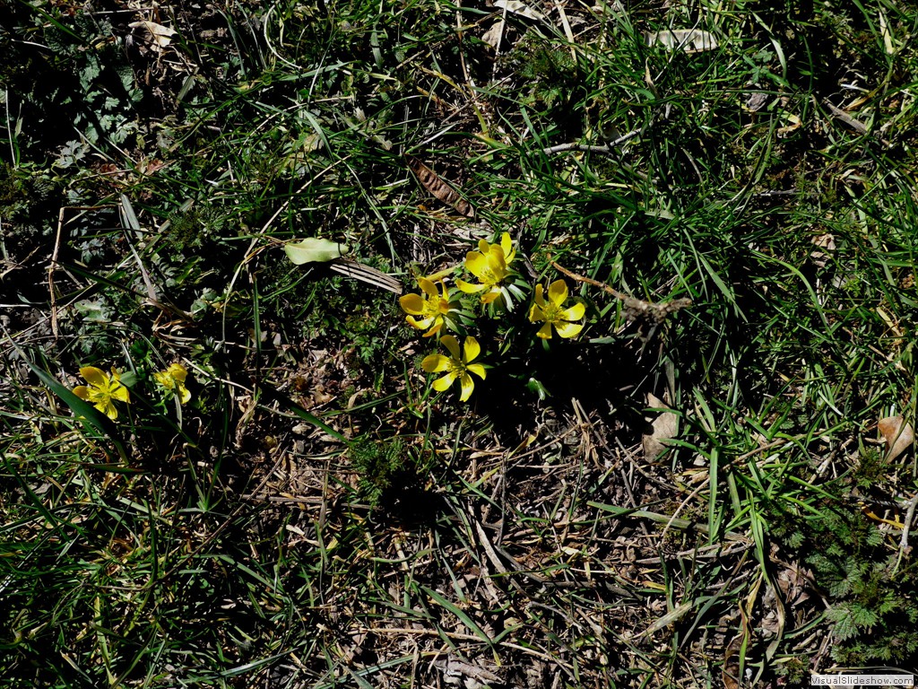 0043_2015-03-11