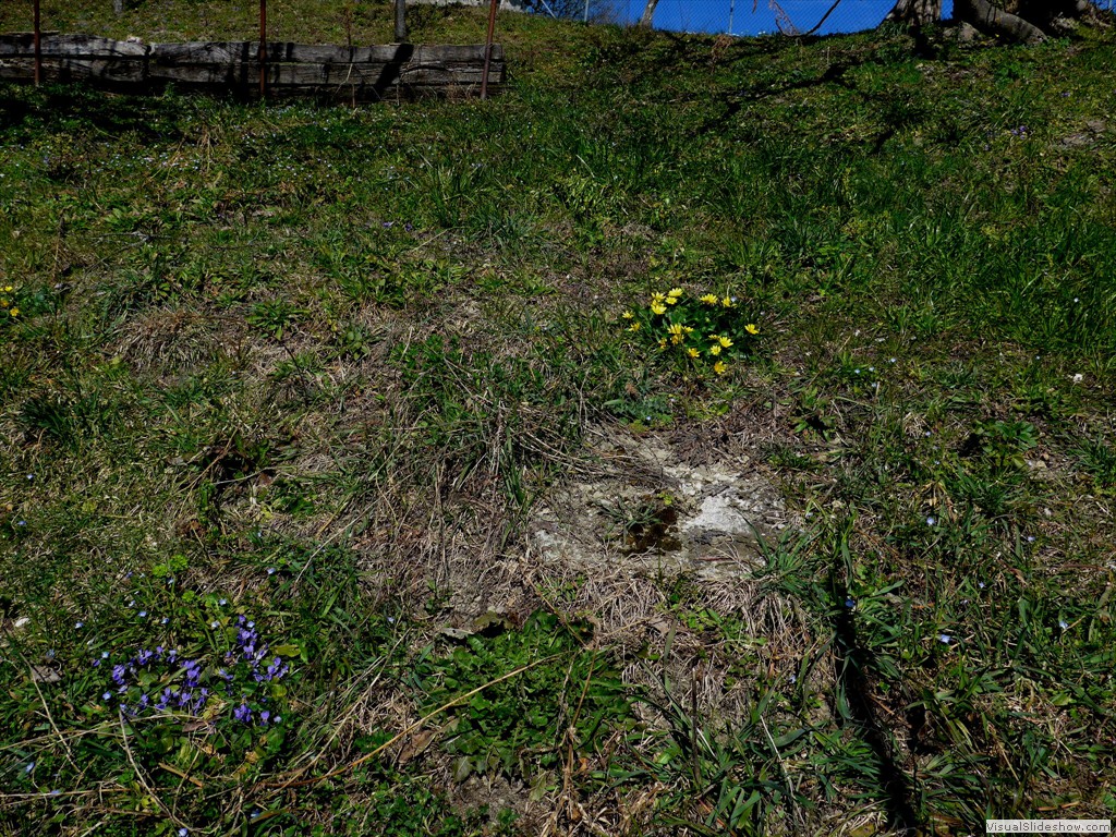 0046_2015-03-11
