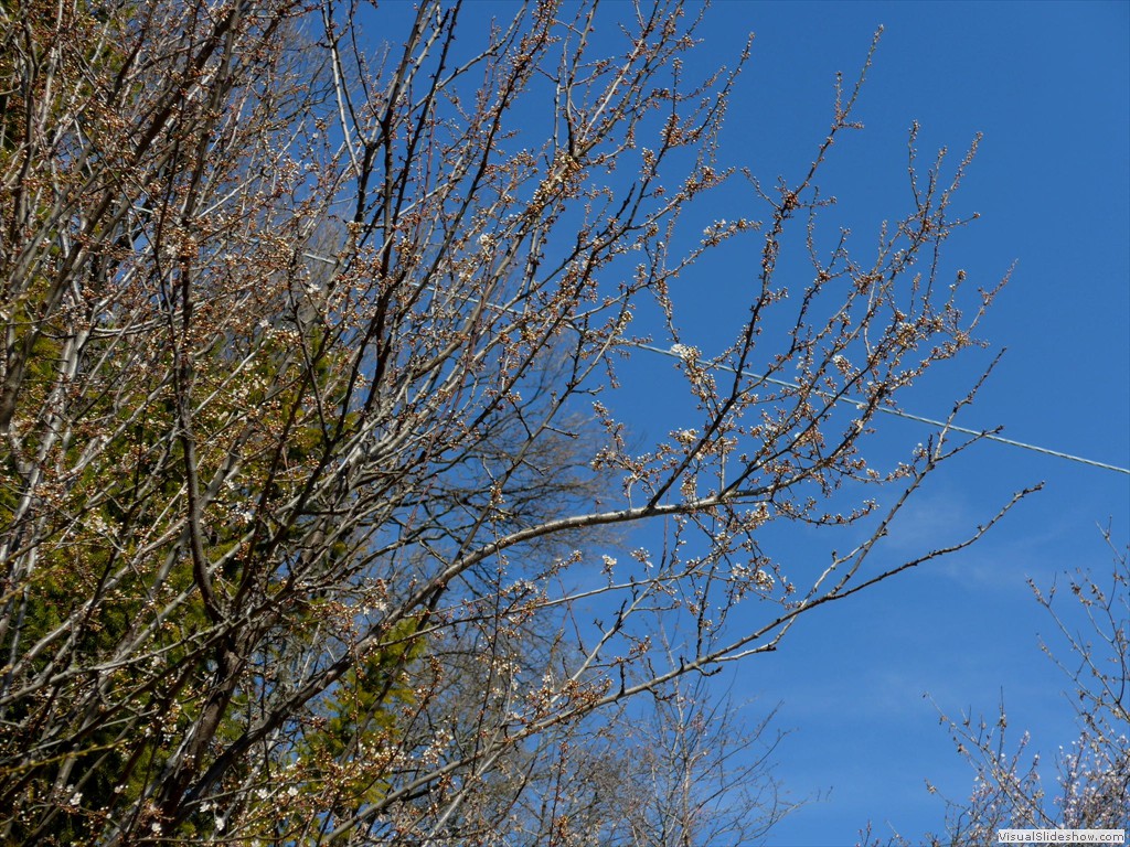 0049_2015-03-11