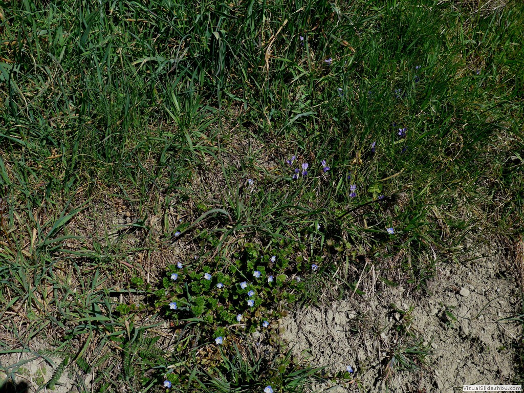 0051_2015-03-11