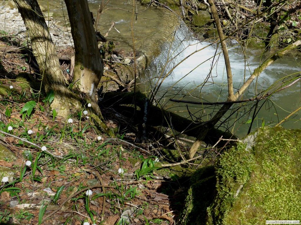 0065_2015-03-11