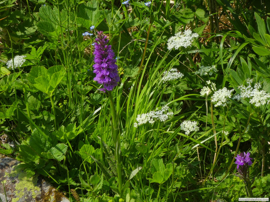 P1050649