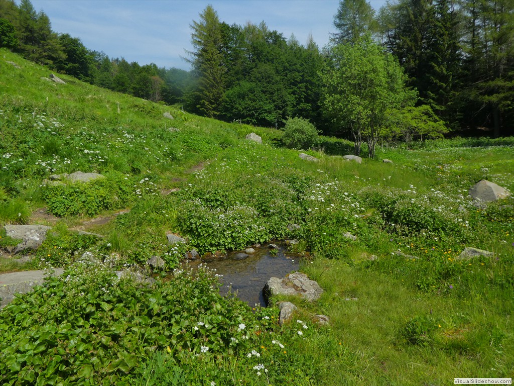 P1050651