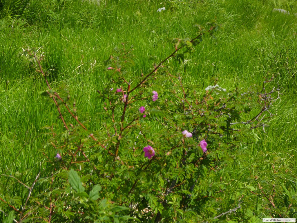 P1050653