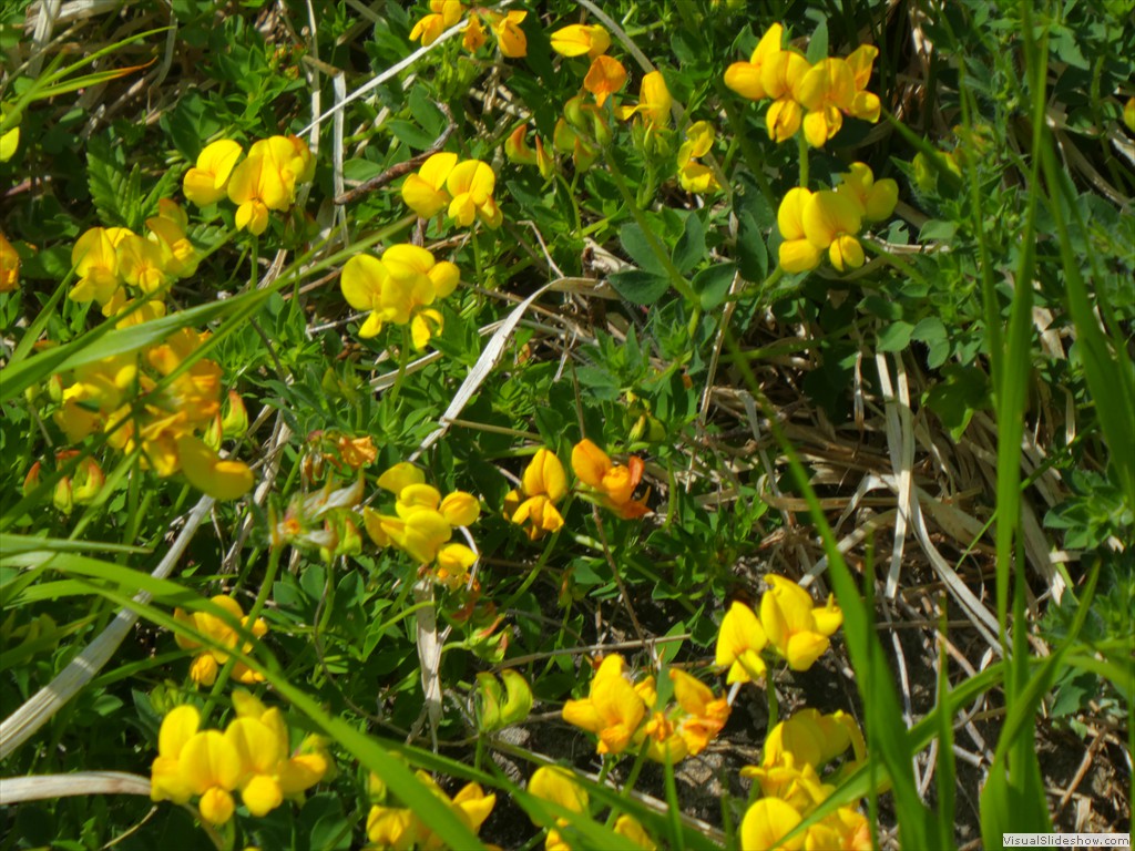 P1050654