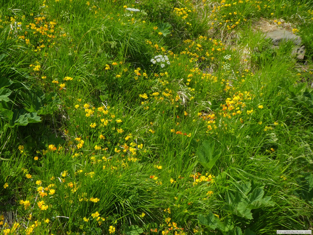 P1050655