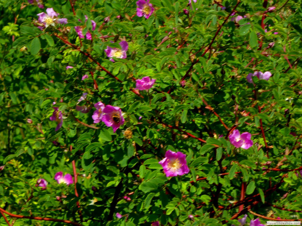P1050657