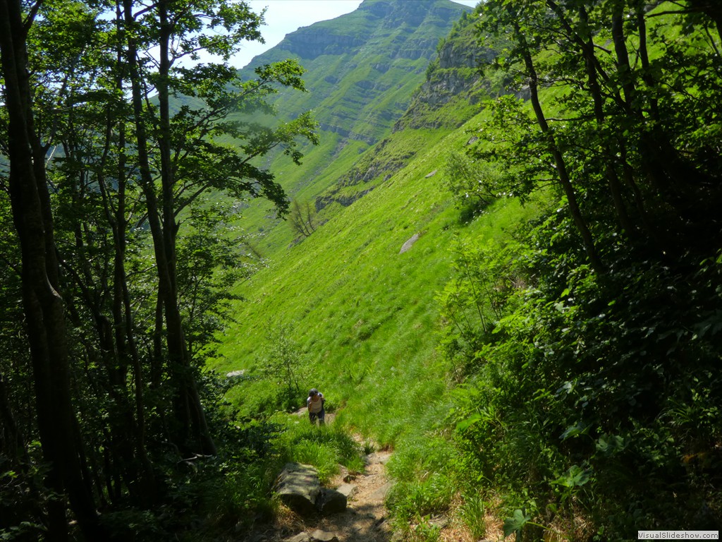 P1050663