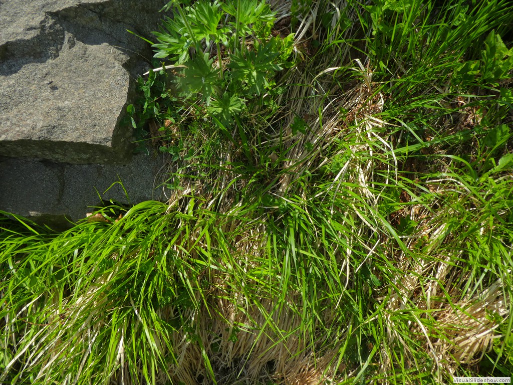 P1050665