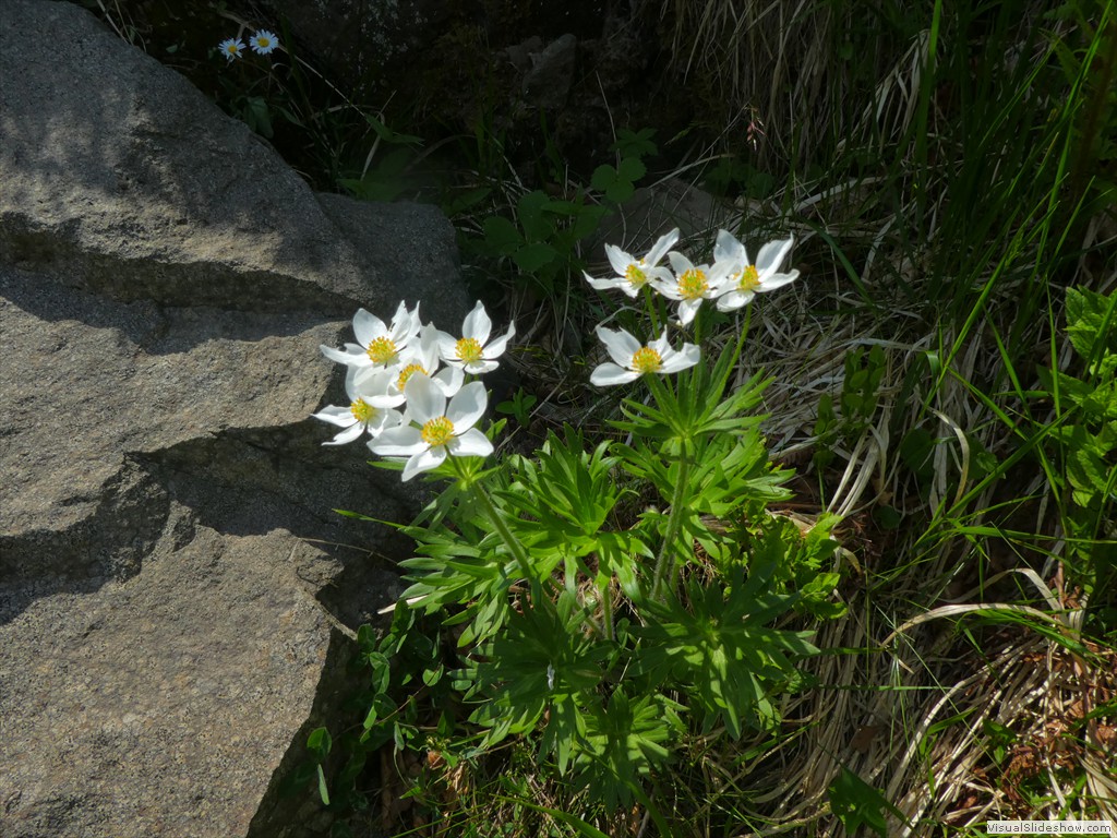 P1050666