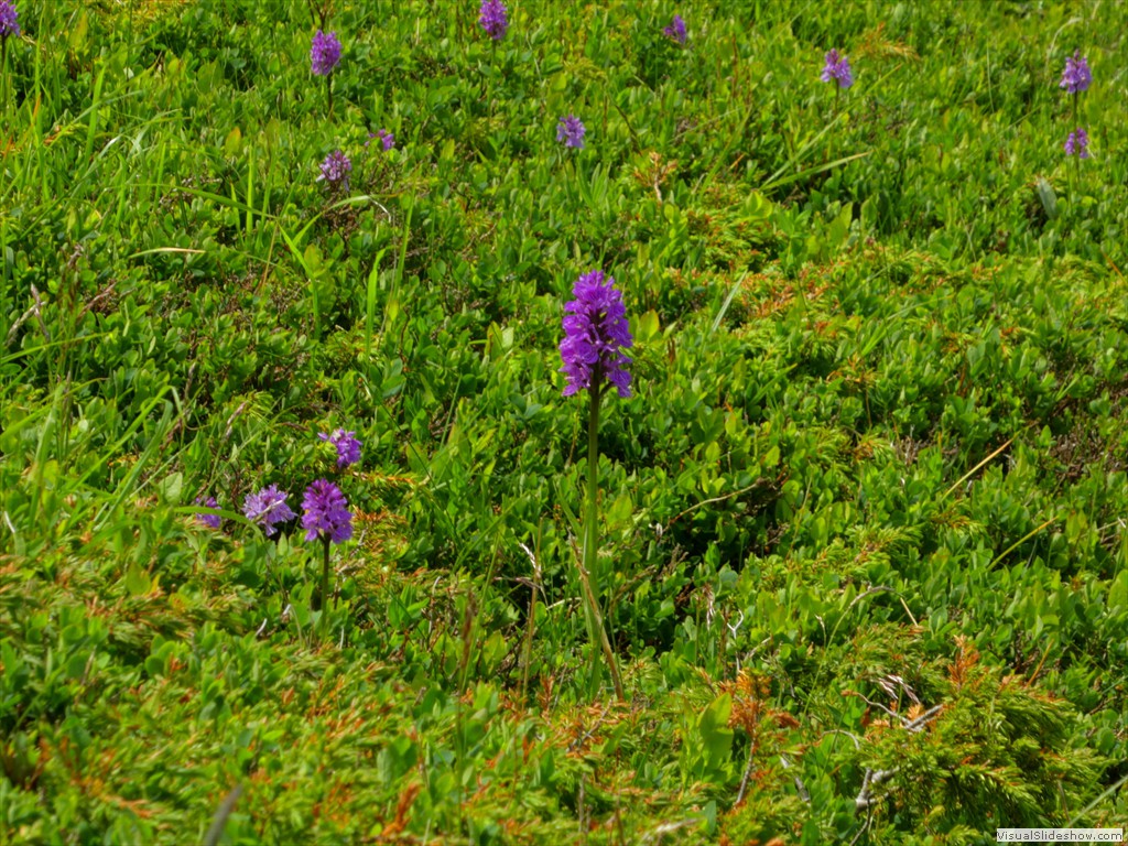 P1050677