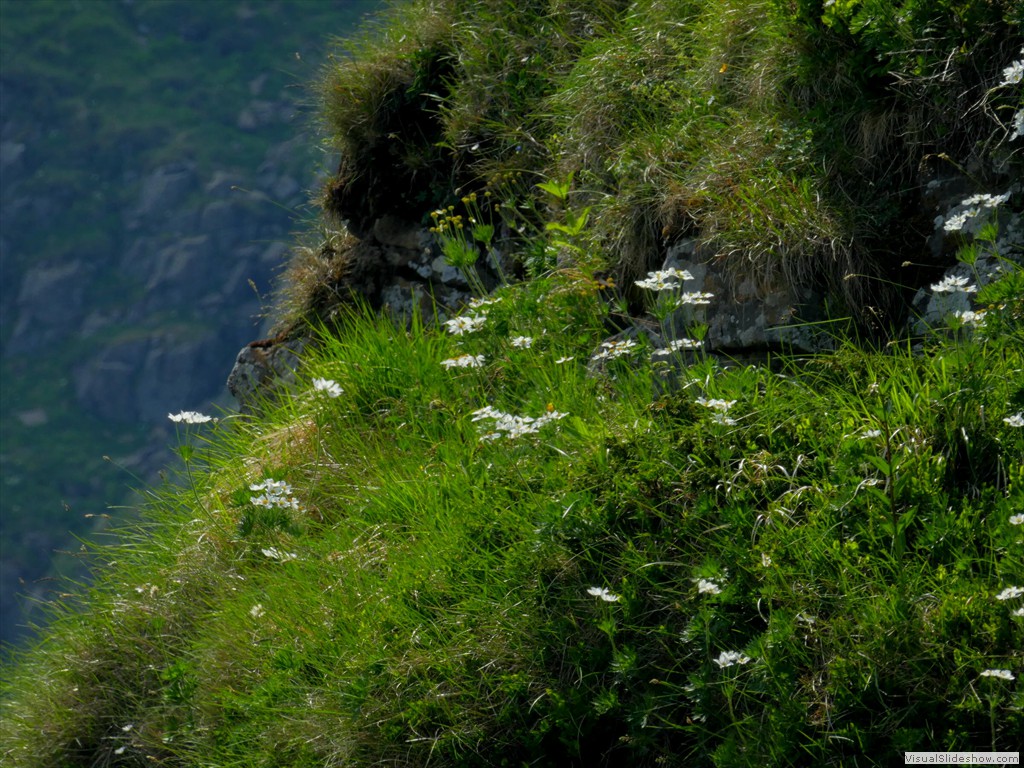 P1050679