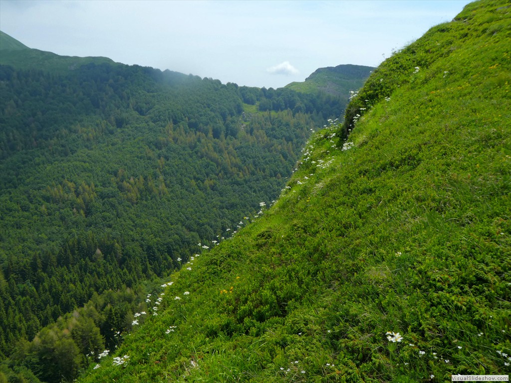 P1050682
