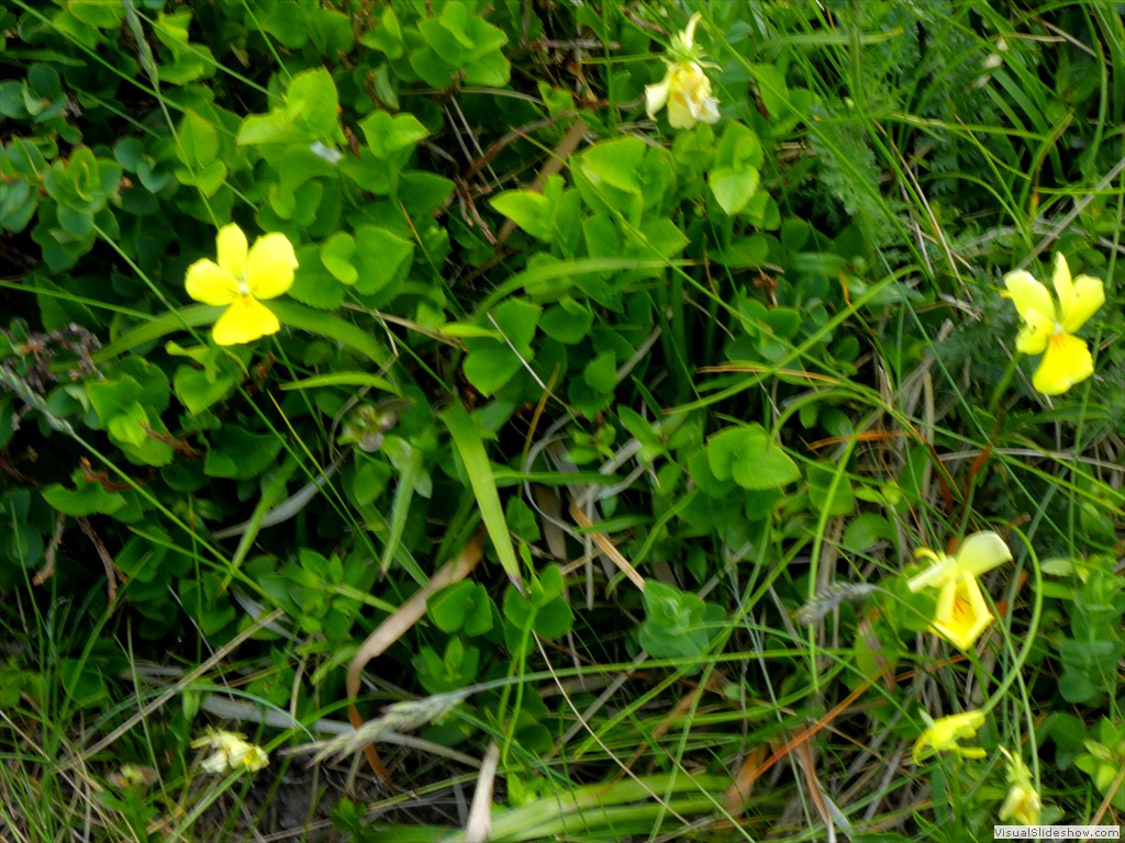 P1050683