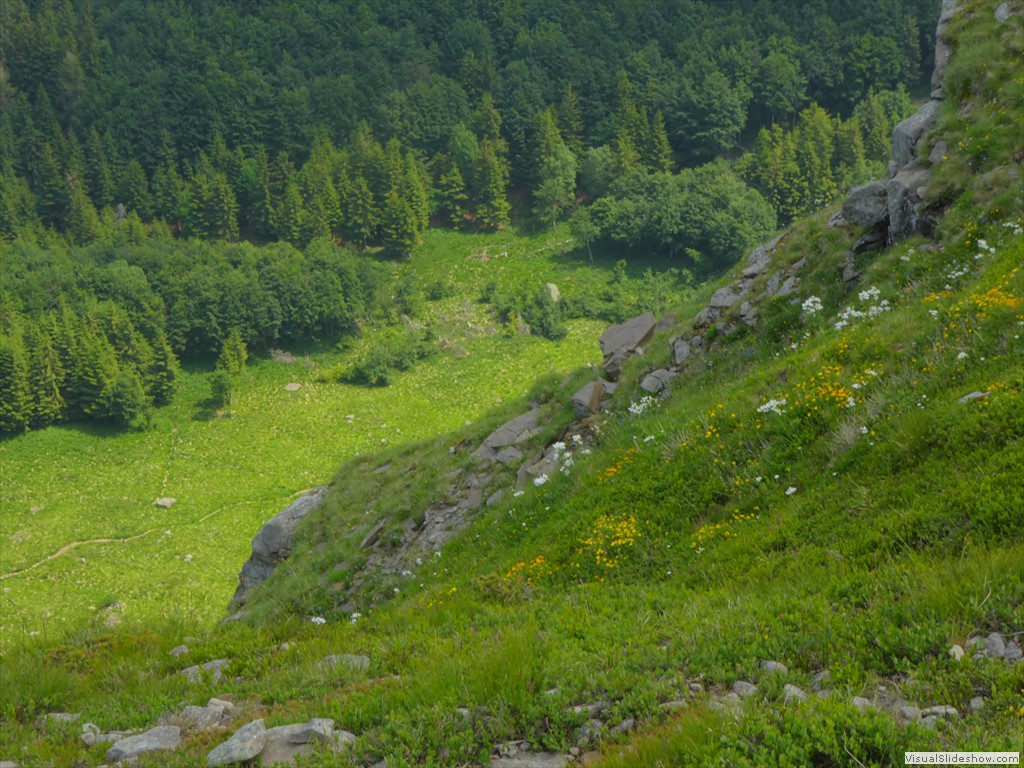 P1050686