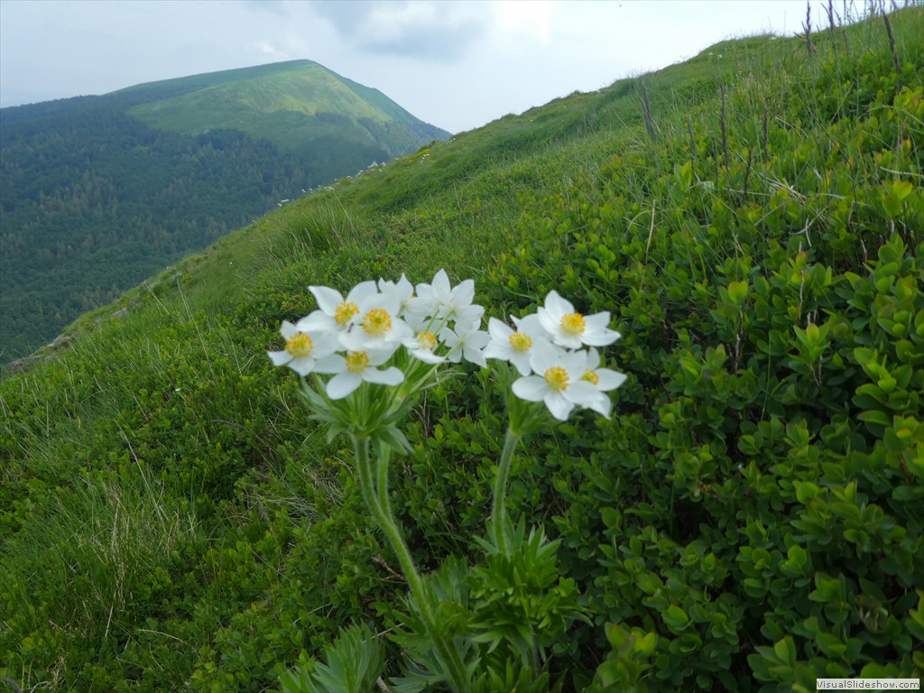P1050688