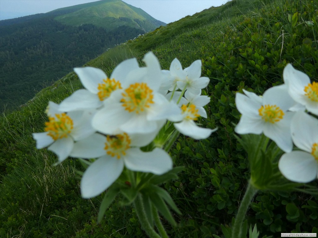 P1050689