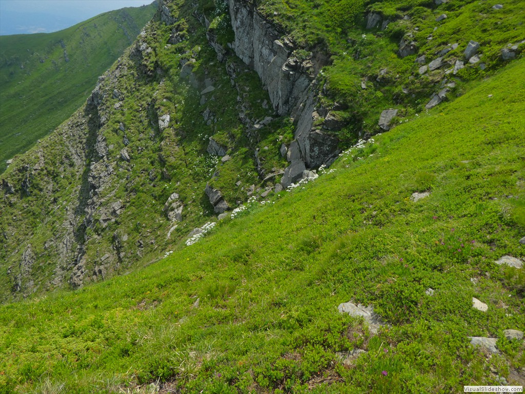 P1050694