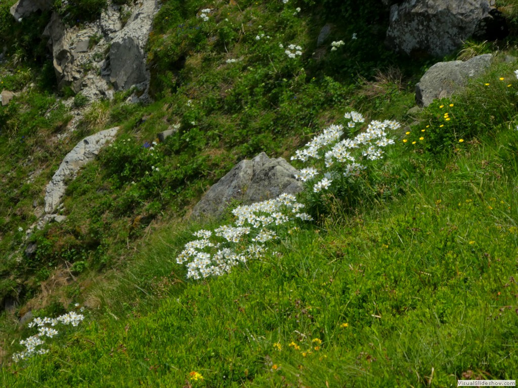P1050695