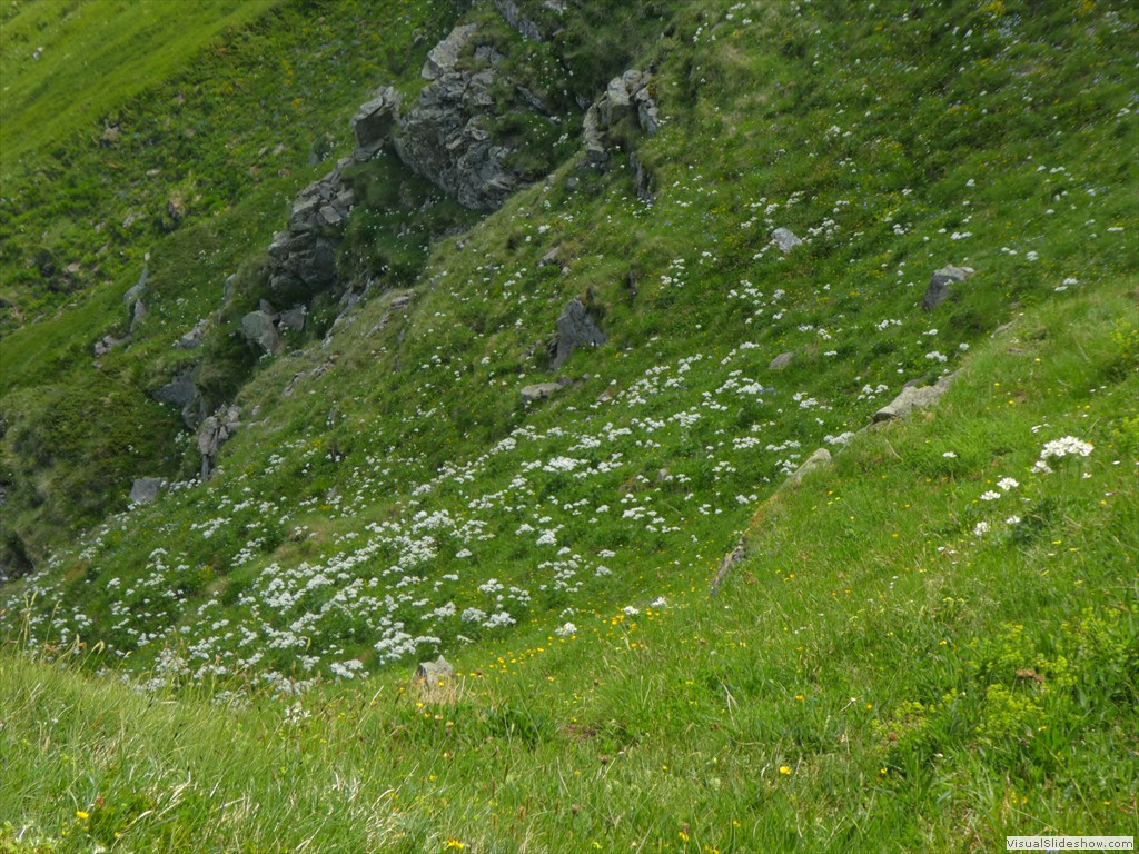 P1050697