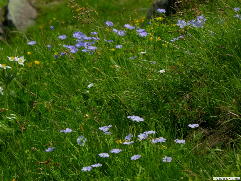P1050698