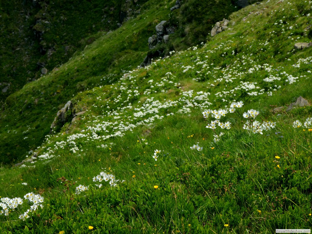 P1050701