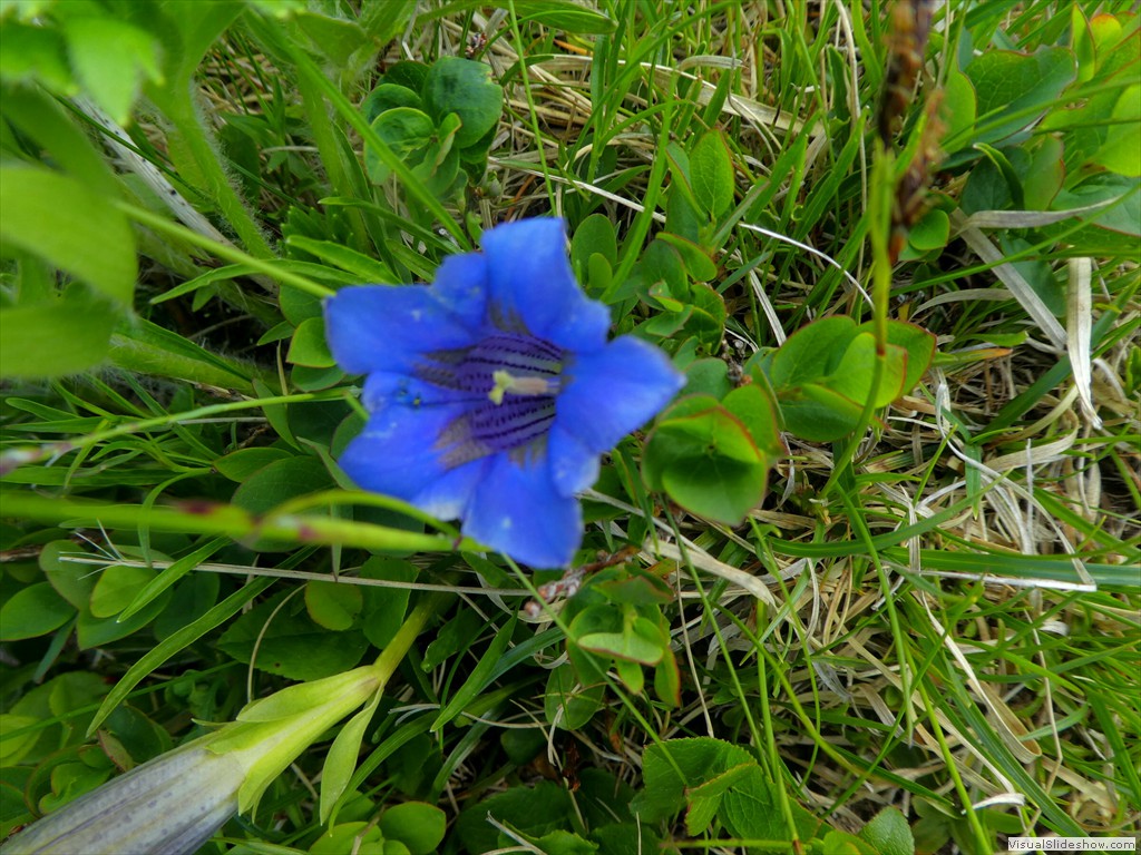 P1050709